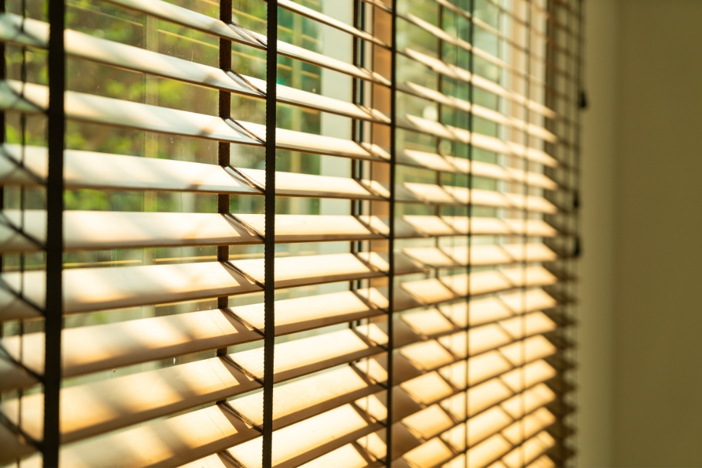 Finding the Perfect Balance Between Privacy and Natural Light with Blinds - blinds